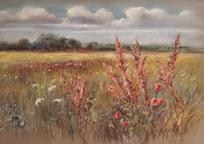 pastel 3 50x65