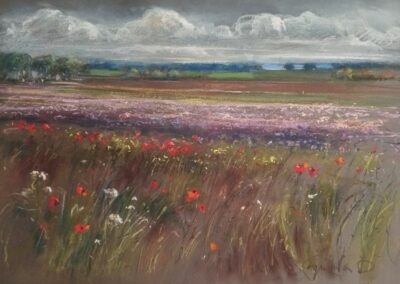pastel 6 48x63