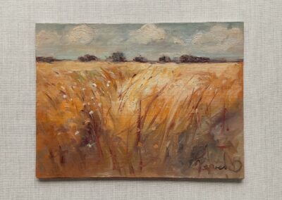 Miniatury - Dorota Napierała