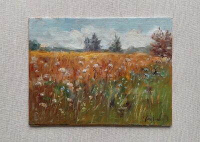 Miniatury - Dorota Napierała