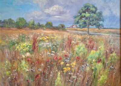Łąki - Ostrowo 50 x 60