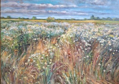 Rumiany - Stegna 50 x 60